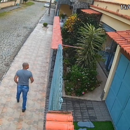 Secretaria de Proteção dos Animais acompanha caso de cachorro abandonado em Floriano